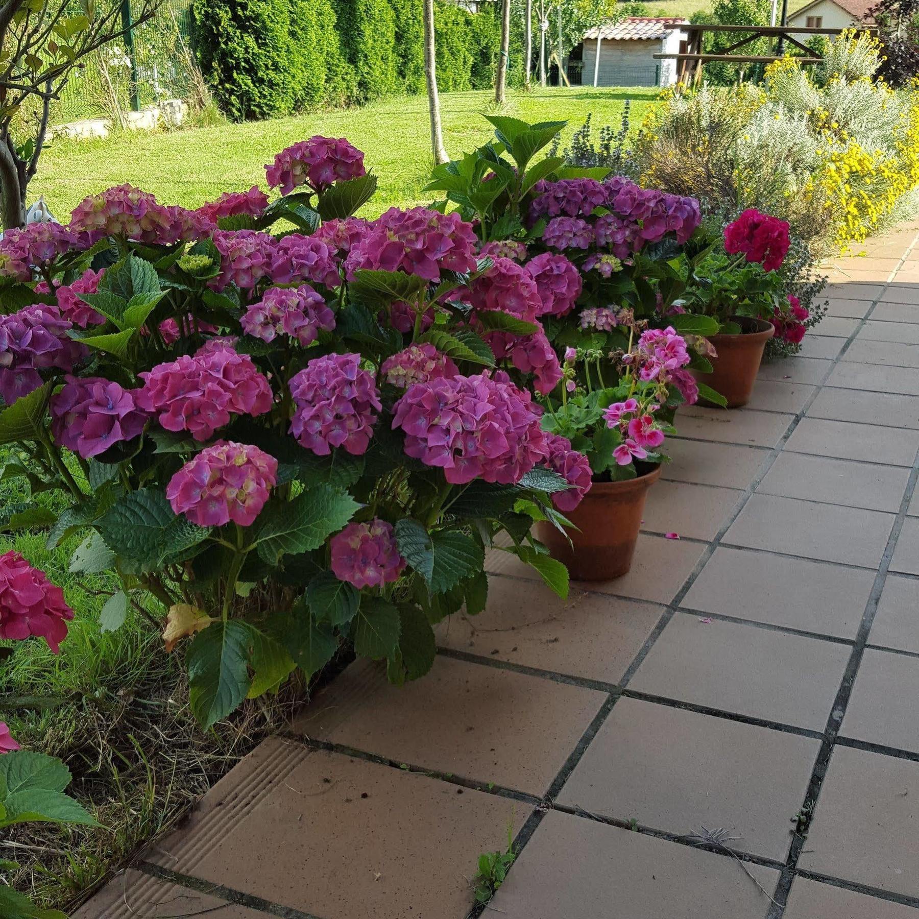 Hotel Rural Foncubierta Soto del Barco Kültér fotó